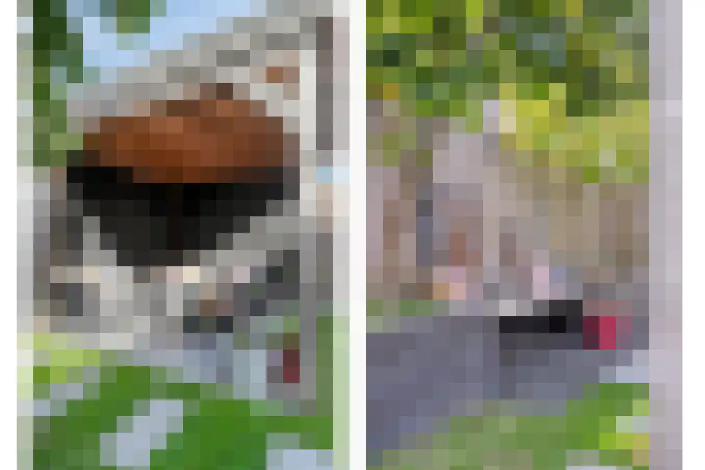 Witvlas 5 Lage Zwaluwe thumbnail 40