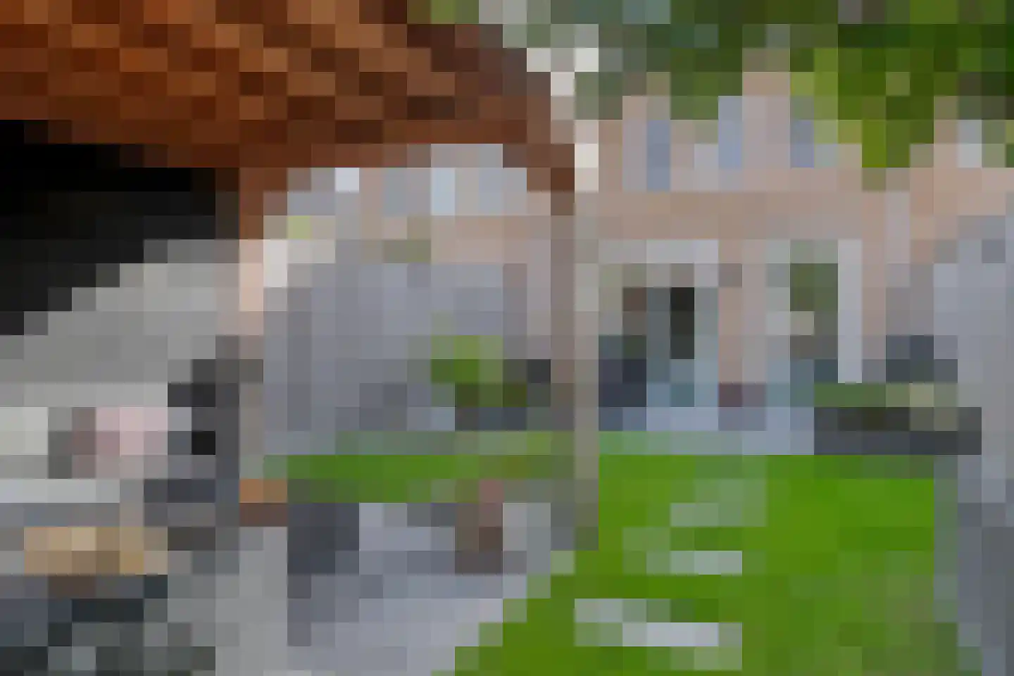 Witvlas 5 Lage Zwaluwe thumbnail 41