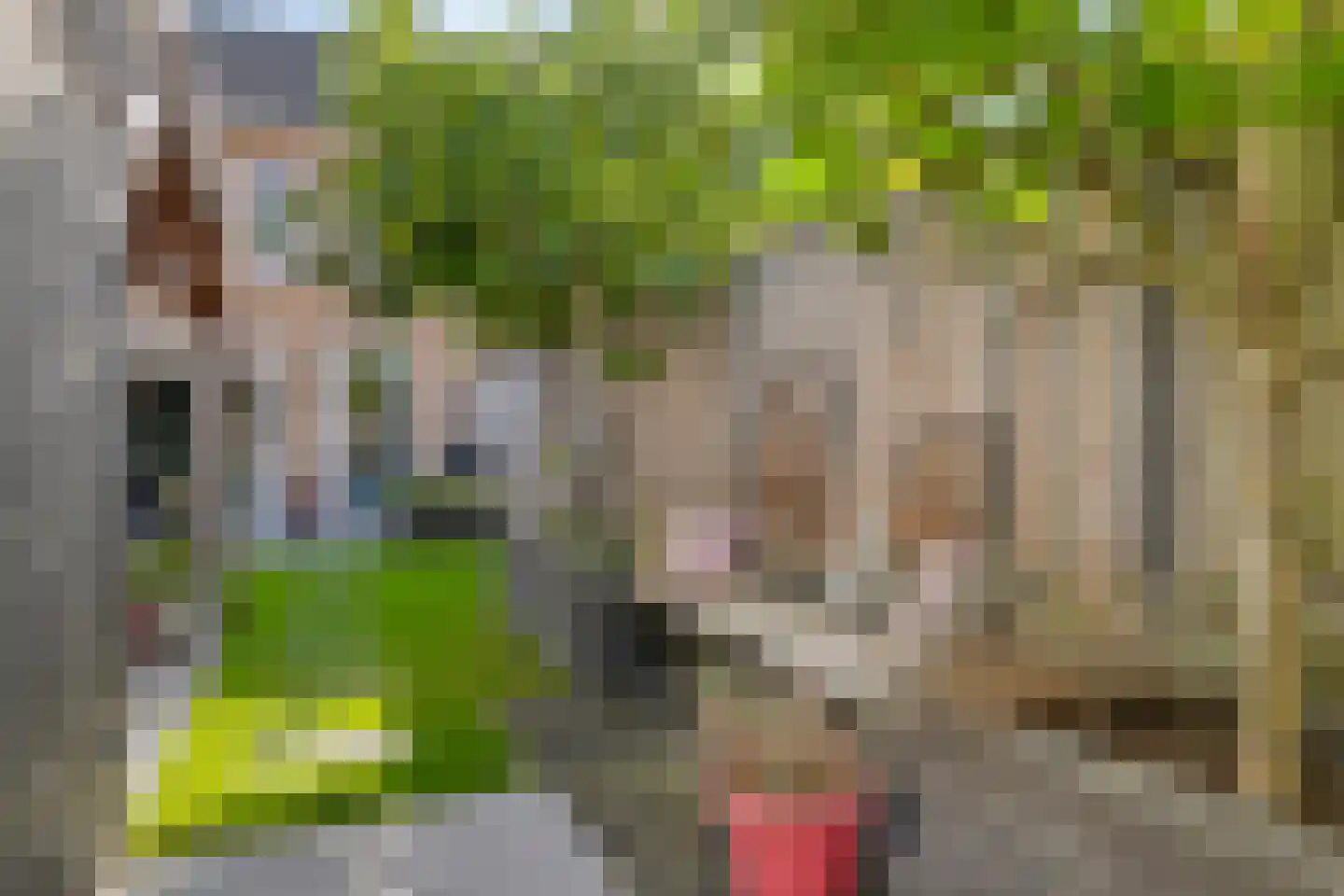 Witvlas 5 Lage Zwaluwe thumbnail 42