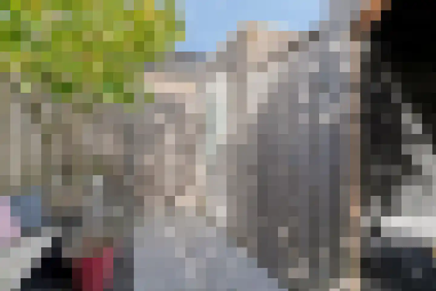 Witvlas 5 Lage Zwaluwe thumbnail 44