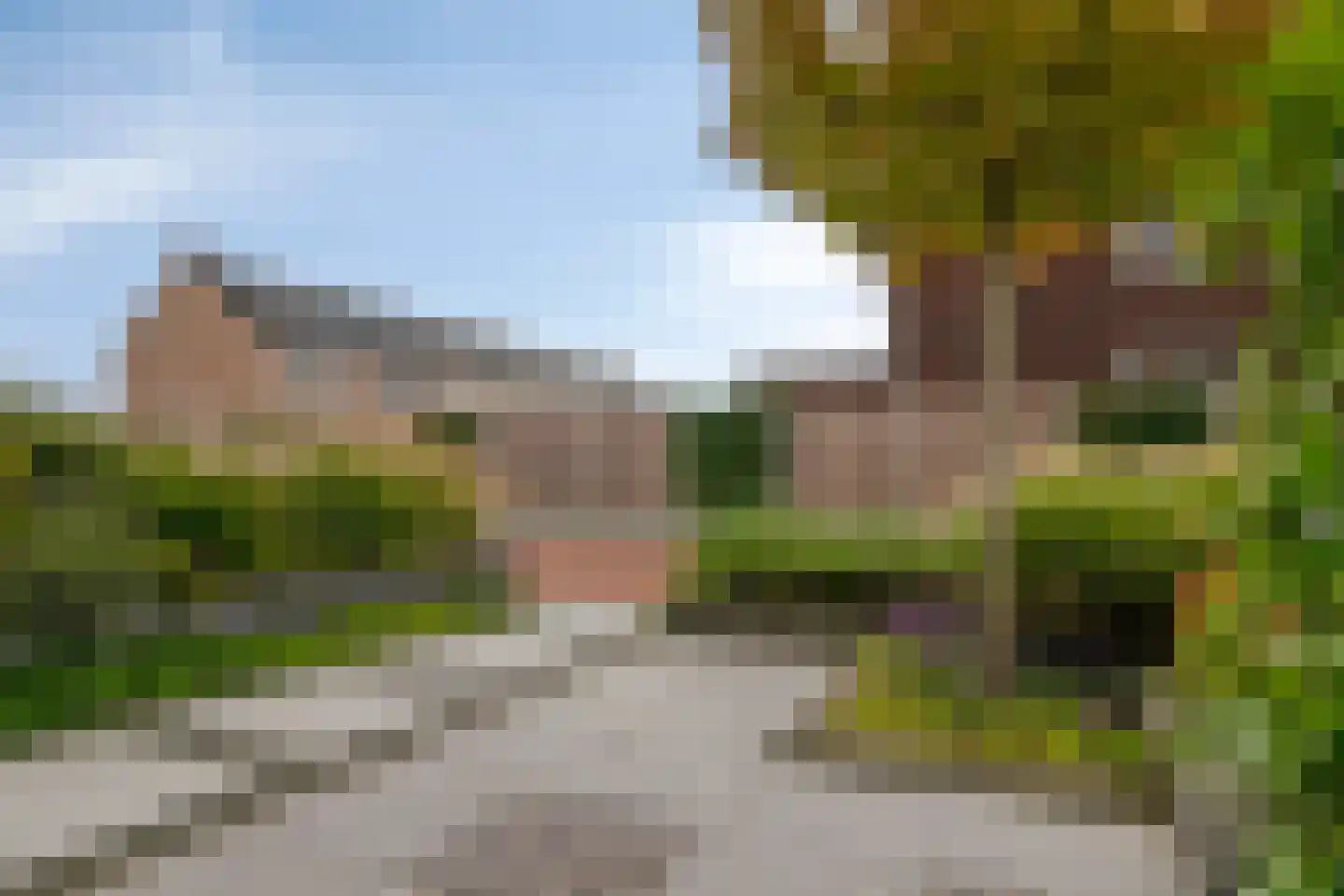 Witvlas 5 Lage Zwaluwe thumbnail 45