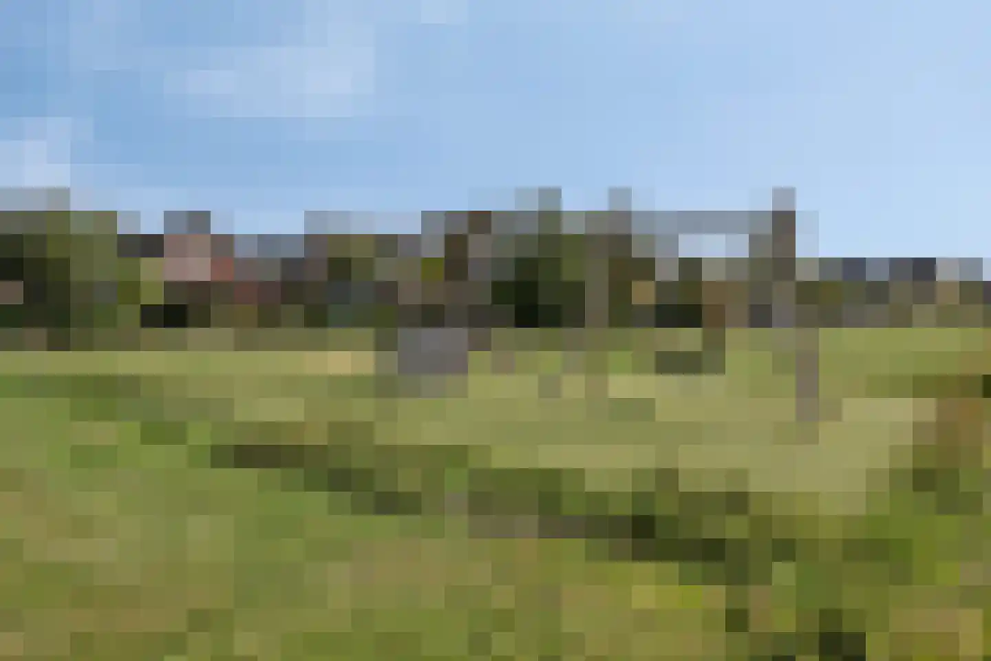 Witvlas 5 Lage Zwaluwe thumbnail 50