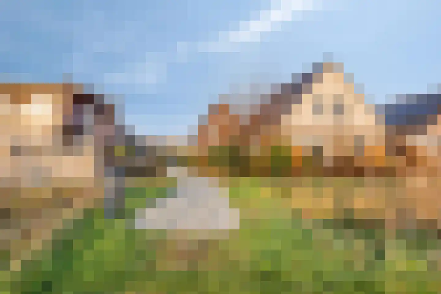 Witvlas 5 Lage Zwaluwe thumbnail 51