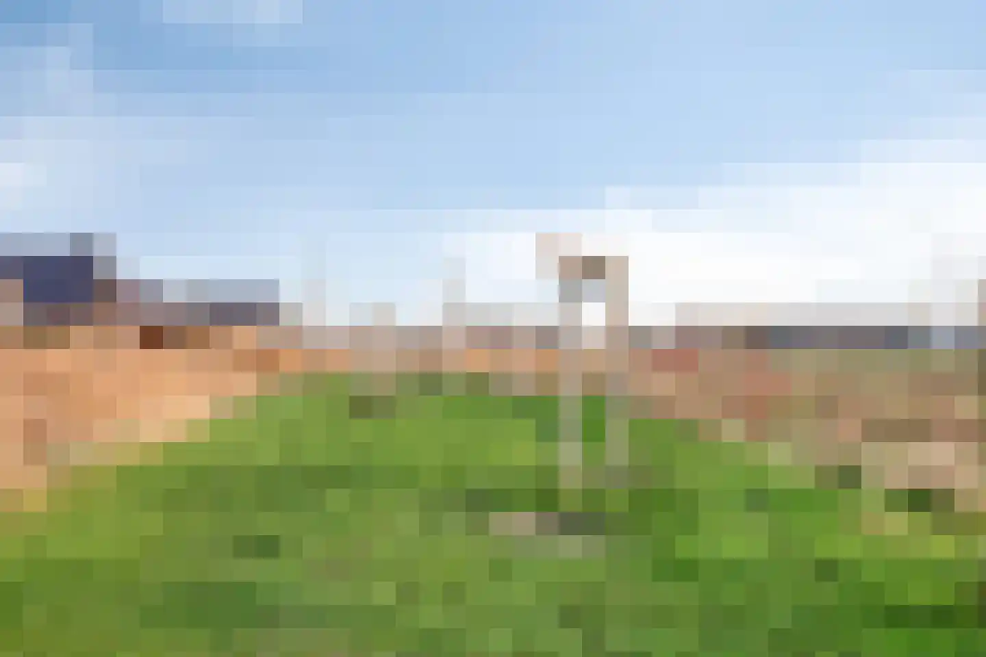Witvlas 5 Lage Zwaluwe thumbnail 52