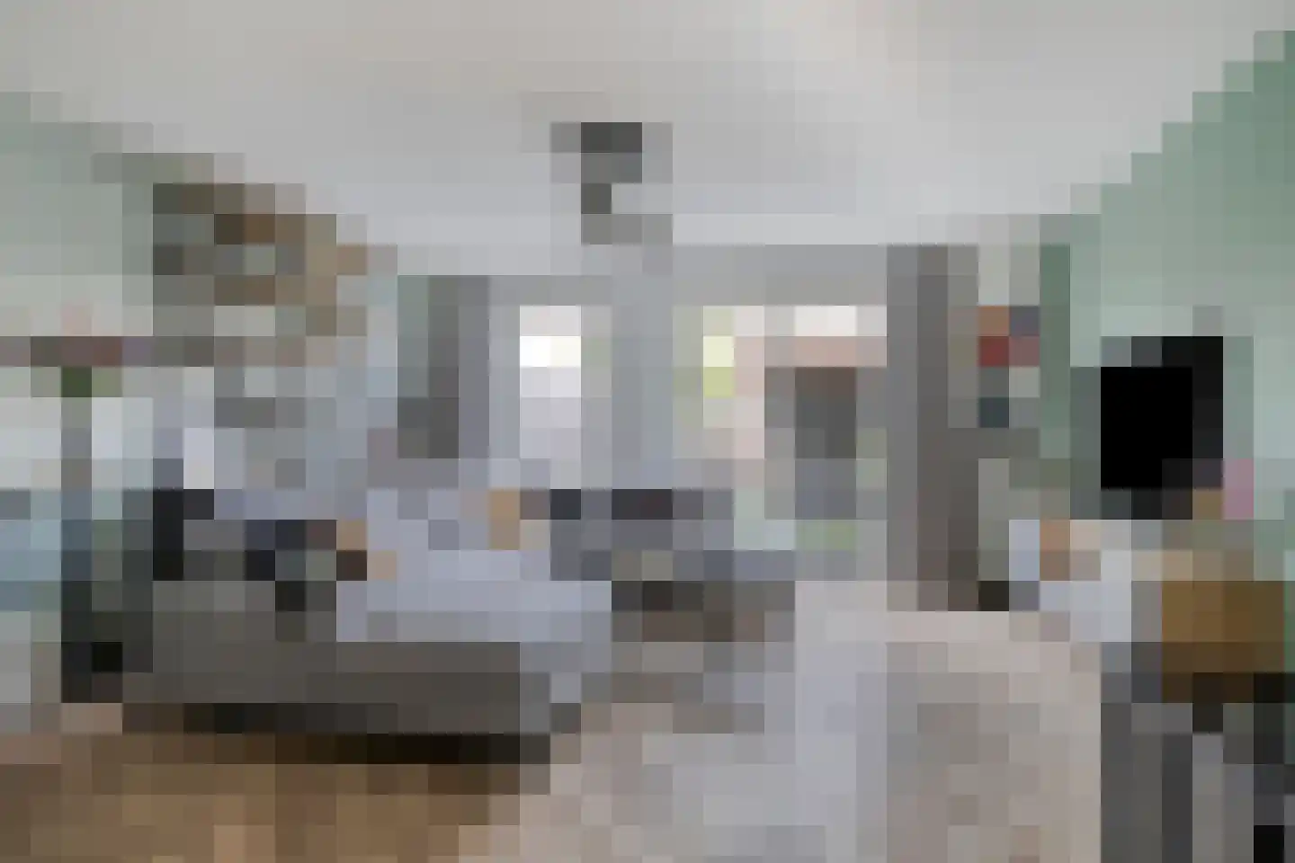 Witvlas 5 Lage Zwaluwe thumbnail 6