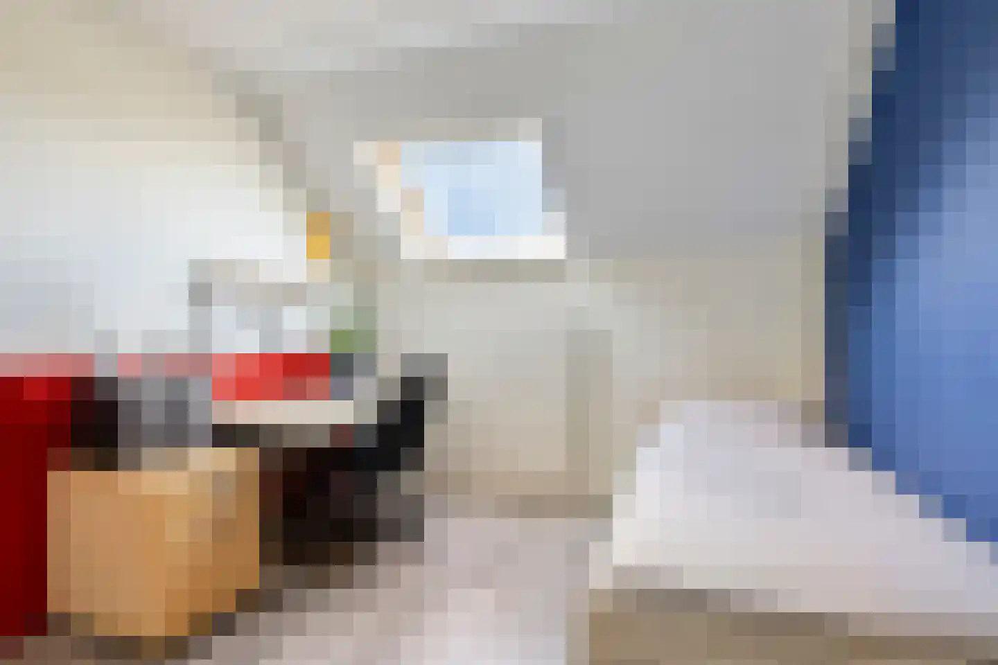 Witvrouwsberg 16 Veldhoven thumbnail 20
