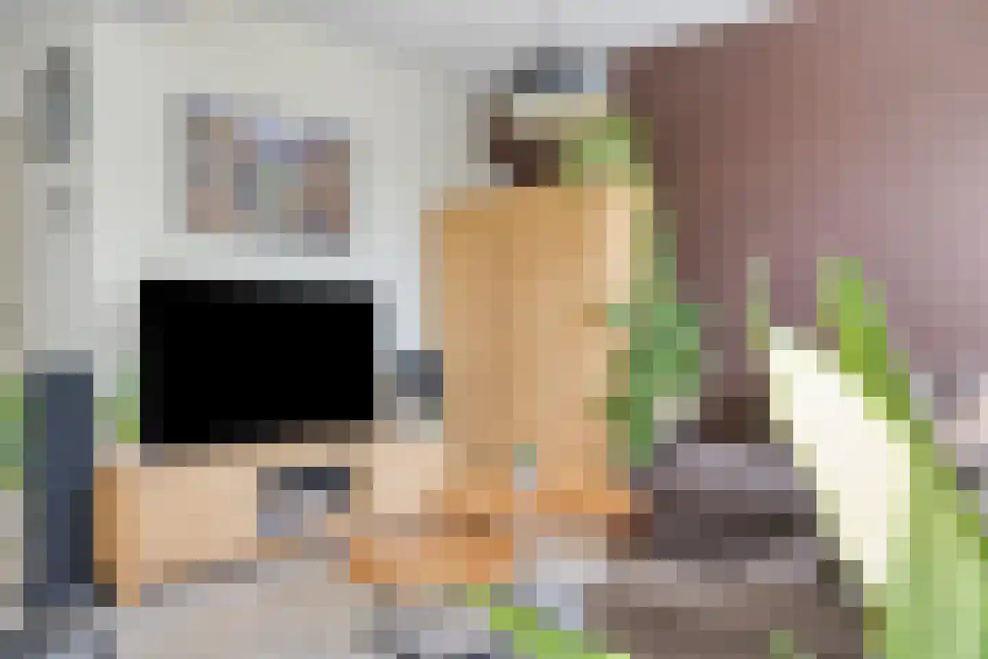 Witvrouwsberg 16 Veldhoven thumbnail 8