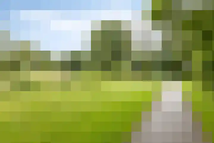 Witvrouwsberg 21 Veldhoven thumbnail 25