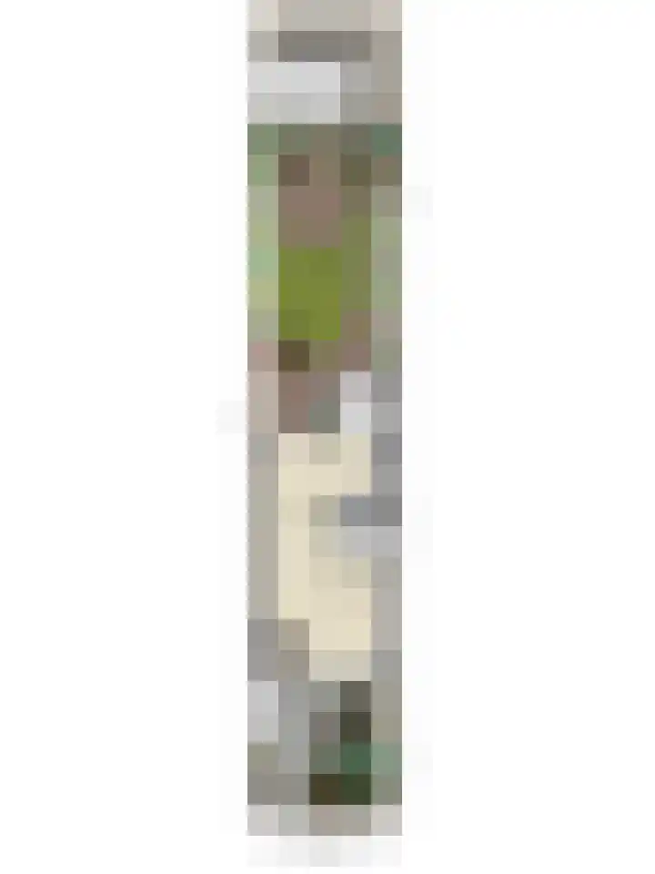 Witvrouwsberg 21 Veldhoven thumbnail 32