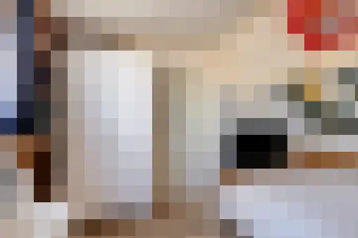 Witvrouwsberg 26 Veldhoven thumbnail 28