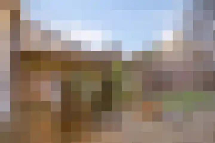 Witvrouwsberg 26 Veldhoven thumbnail 29