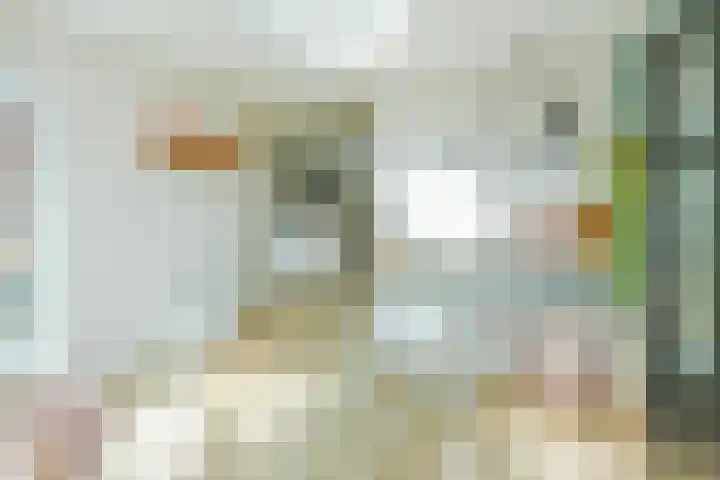 Witvrouwsberg 34 Veldhoven thumbnail 11