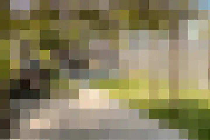 Witvrouwsberg 34 Veldhoven thumbnail 14