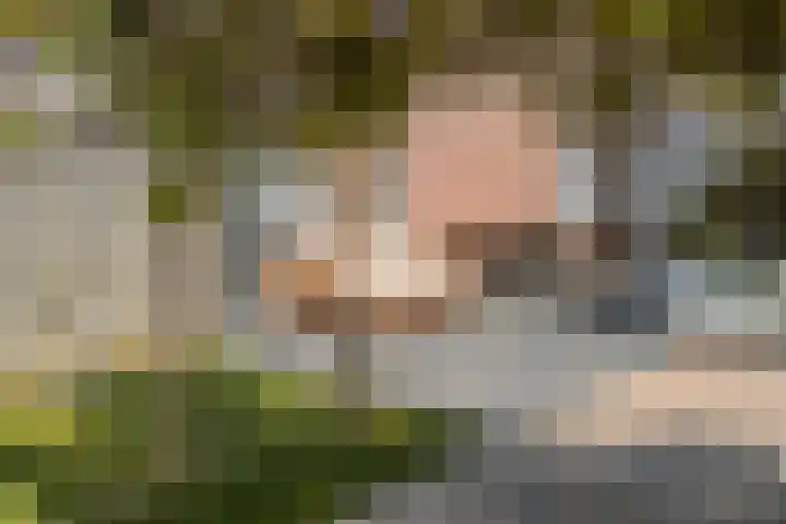 Witvrouwsberg 34 Veldhoven thumbnail 15