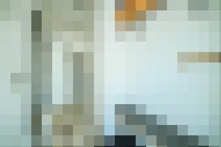 Witvrouwsberg 34 Veldhoven thumbnail 22
