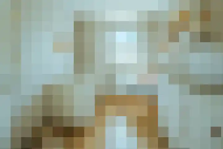 Witvrouwsberg 34 Veldhoven thumbnail 24
