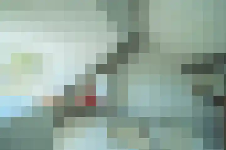 Witvrouwsberg 34 Veldhoven thumbnail 32