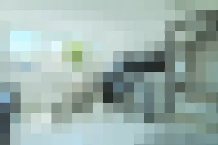 Witvrouwsberg 34 Veldhoven thumbnail 34