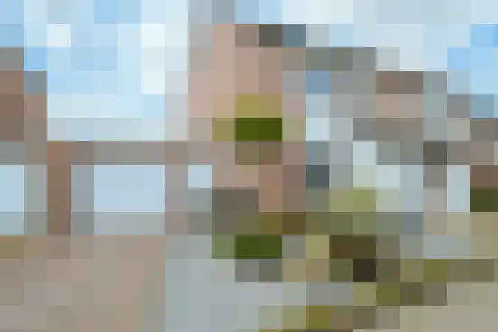 Witvrouwsberg 34 Veldhoven thumbnail 35