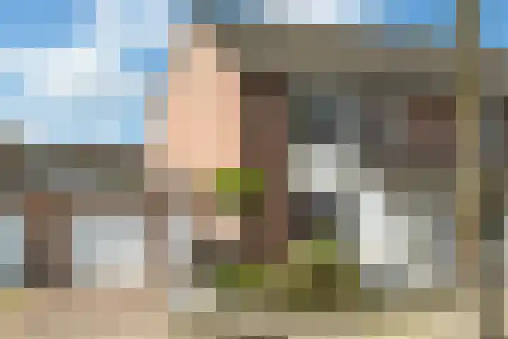 Witvrouwsberg 34 Veldhoven thumbnail 37