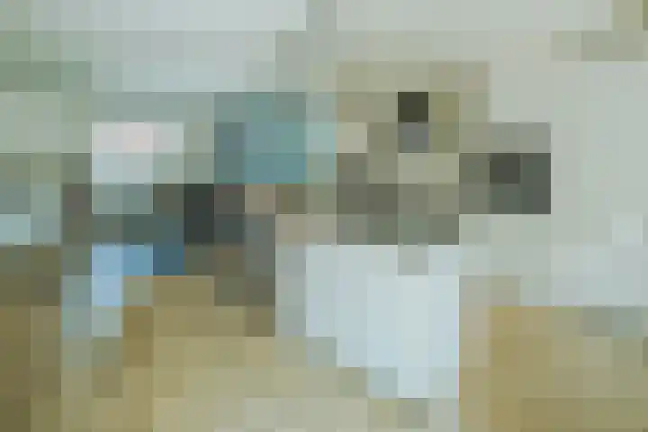 Witvrouwsberg 34 Veldhoven thumbnail 8