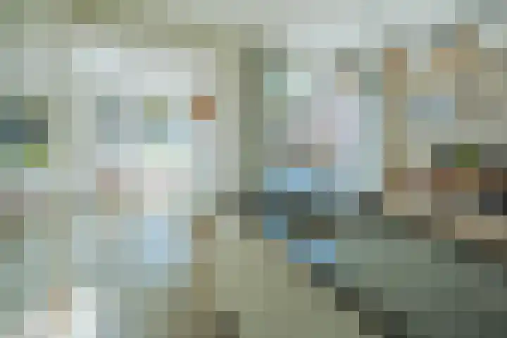 Witvrouwsberg 34 Veldhoven thumbnail 9