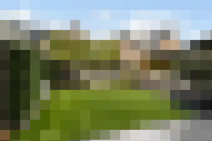 Witzand 7 Naaldwijk thumbnail 15