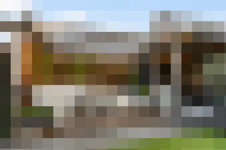 Witzand 7 Naaldwijk thumbnail 18