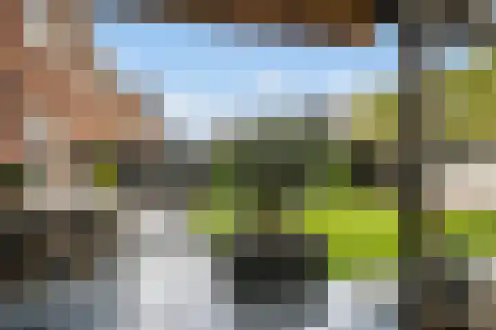 Witzand 7 Naaldwijk thumbnail 20