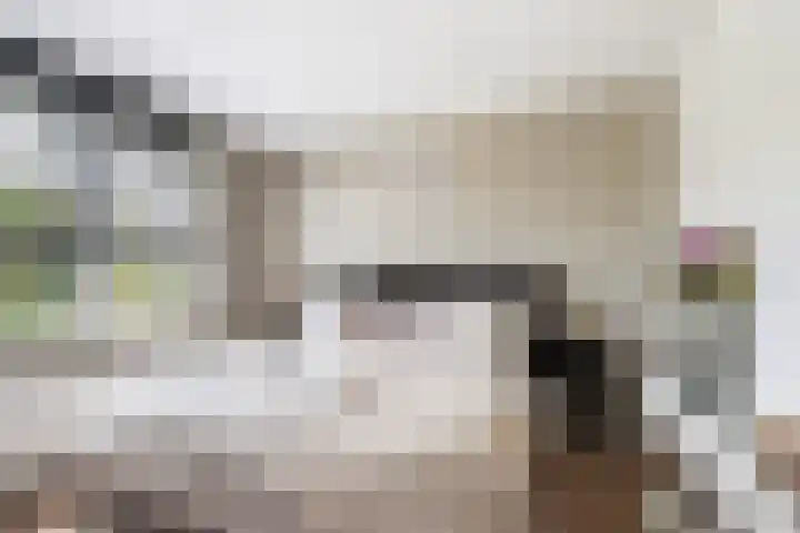 Witzand 7 Naaldwijk thumbnail 26
