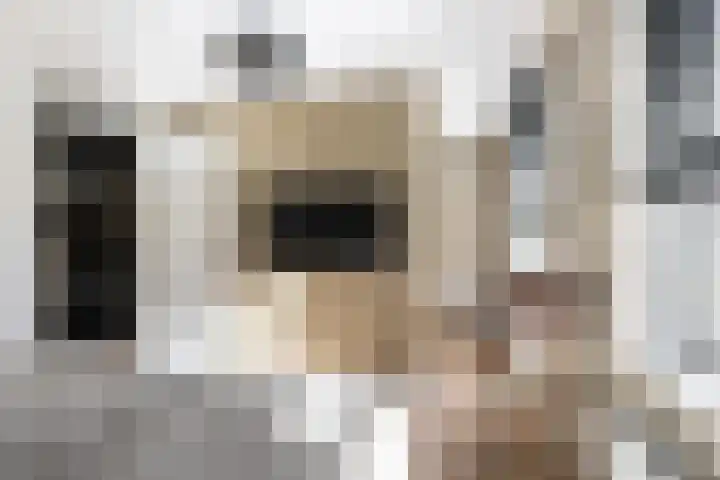 Witzand 7 Naaldwijk thumbnail 27
