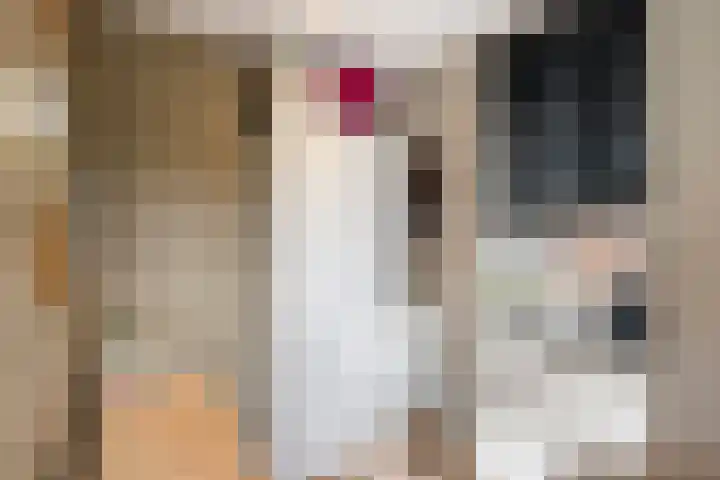 Witzand 7 Naaldwijk thumbnail 28