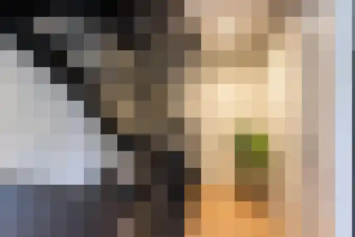 Witzand 7 Naaldwijk thumbnail 38