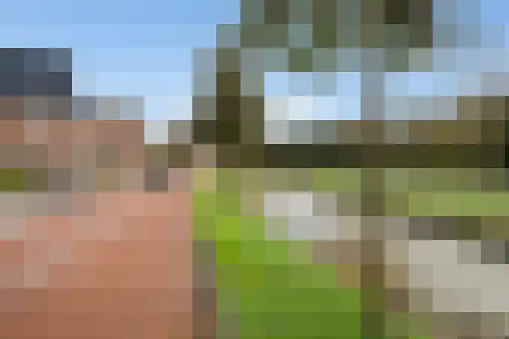 Witzand 7 Naaldwijk thumbnail 50