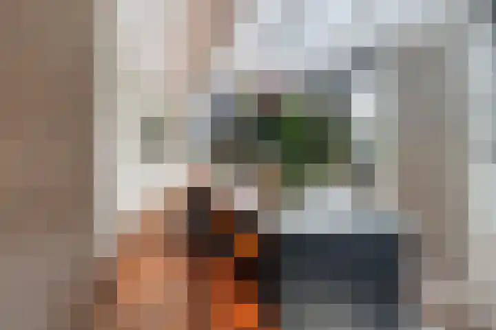 Witzand 7 Naaldwijk thumbnail 6