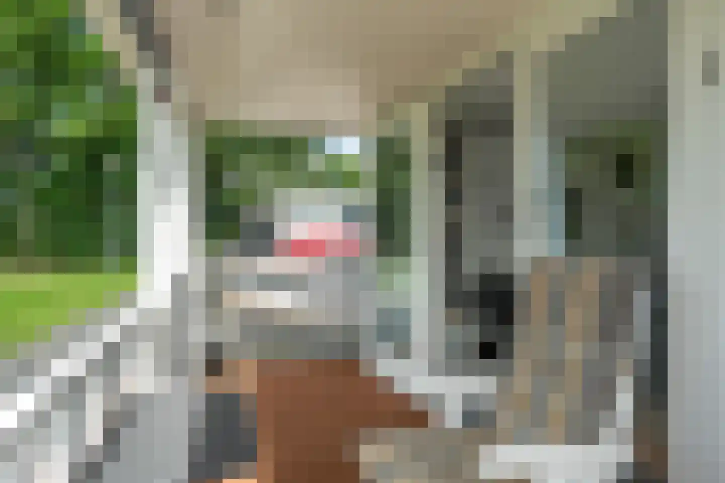 Wjitteringswei 1003 Jirnsum foto 3
