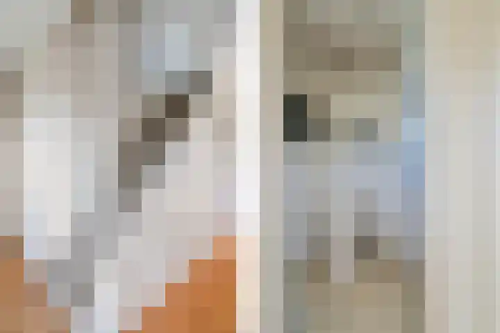 Wjitteringswei 31 Aldeboarn thumbnail 10