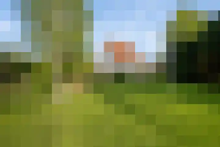 Wjitteringswei 31 Aldeboarn foto 2