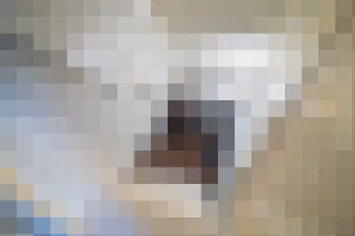 Wjitteringswei 31 Aldeboarn thumbnail 21