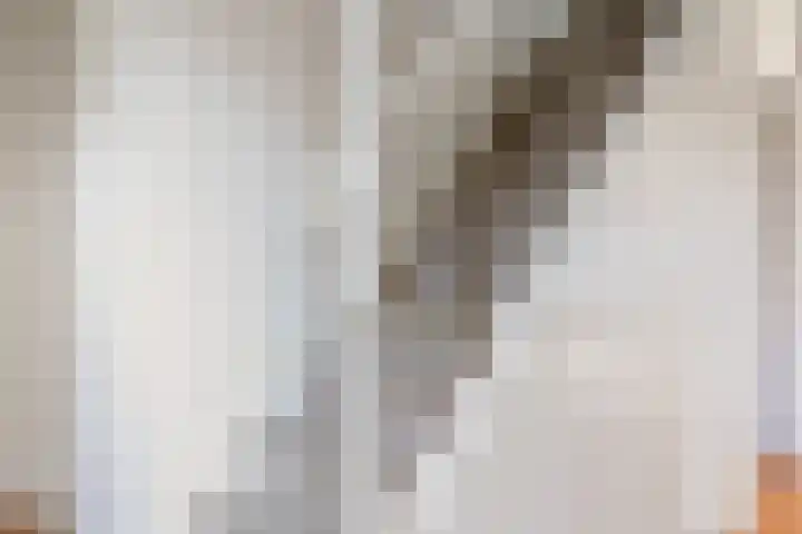 Wjitteringswei 31 Aldeboarn thumbnail 23