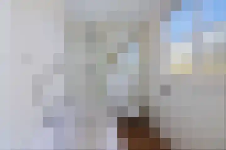 Wjitteringswei 31 Aldeboarn thumbnail 30