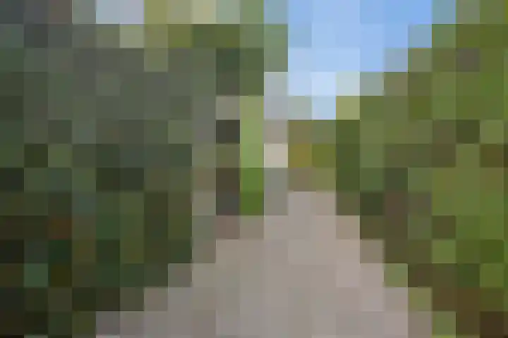 Wjitteringswei 31 Aldeboarn thumbnail 33