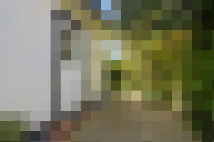 Wjitteringswei 31 Aldeboarn thumbnail 34