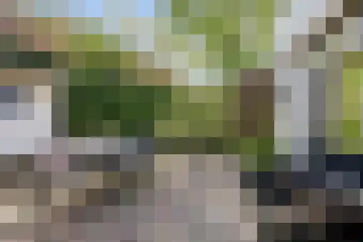Wjitteringswei 31 Aldeboarn thumbnail 36