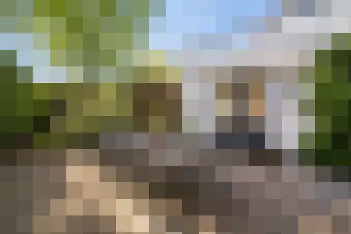 Wjitteringswei 31 Aldeboarn thumbnail 43