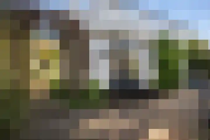 Wjitteringswei 31 Aldeboarn thumbnail 44
