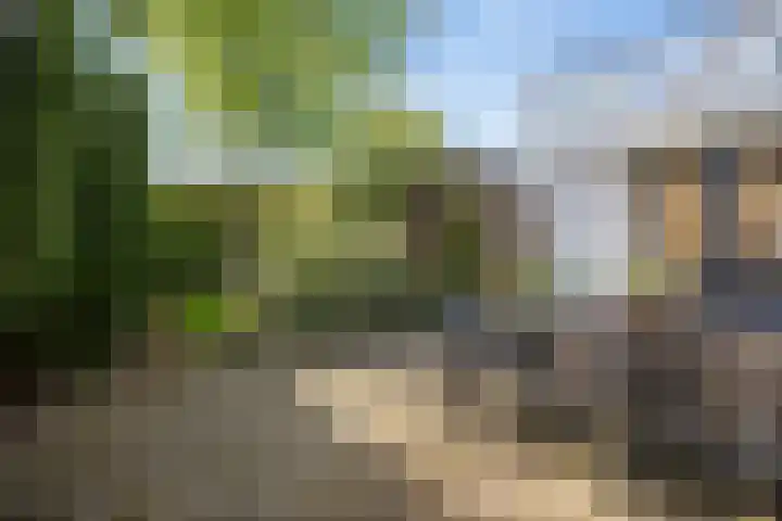 Wjitteringswei 31 Aldeboarn thumbnail 45