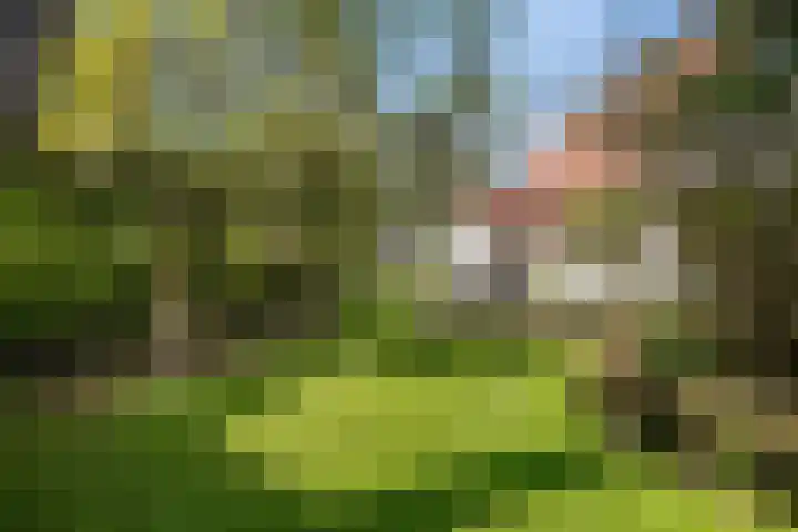 Wjitteringswei 31 Aldeboarn thumbnail 46