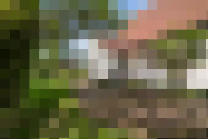 Wjitteringswei 31 Aldeboarn thumbnail 47
