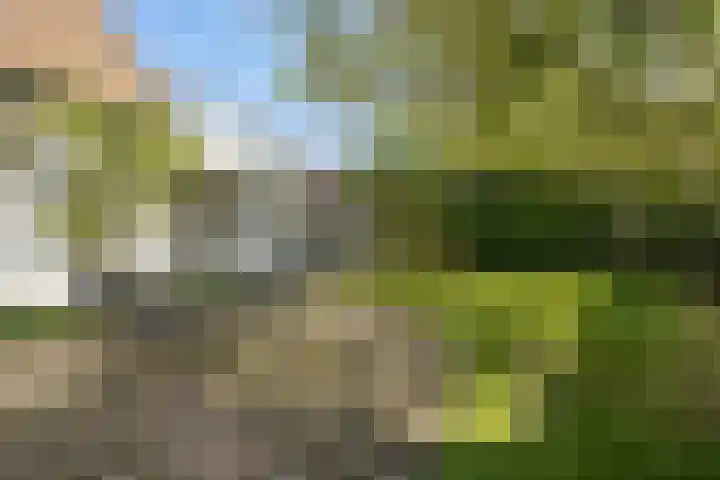 Wjitteringswei 31 Aldeboarn thumbnail 48